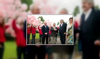 Bezoekers van B&B Hoeve Polsdonk kunnen varkens kijken