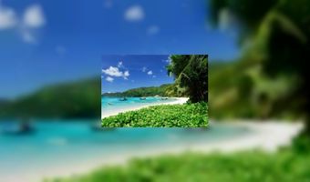 CBS: Meer toeristen naar Bonaire en Saba