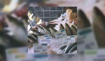 Restaurants serveren Goed VISmenu