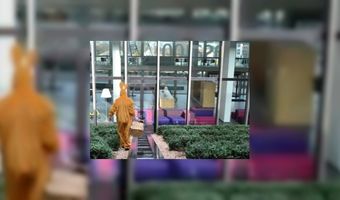 Paashaas gespot bij Casa 400