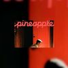 Airbnb lanceert magazine Pineapple