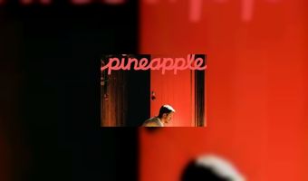 Airbnb lanceert magazine Pineapple