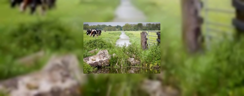 Maand van het Groene Hart gaat culinair