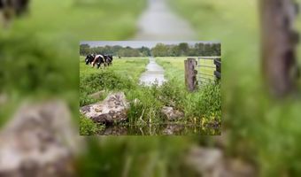 Maand van het Groene Hart gaat culinair