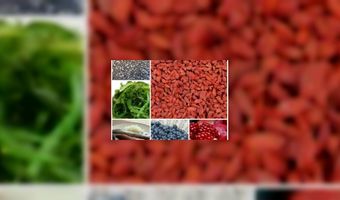 De opkomst van superfoods