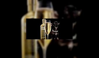 Luxehotels VS presteren beter dan de rest