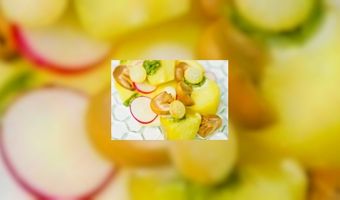 Horeca kan gratis aan de vleesvervanger