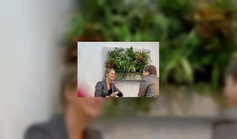 Planten aan de muur met LivePicture