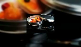 Hilton Rotterdam krijgt nieuw restaurant