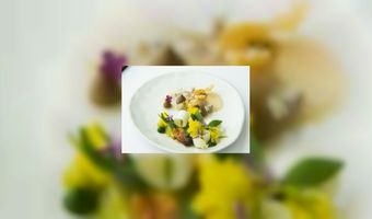 Stijn Rotthier wint Slag op de Schelde