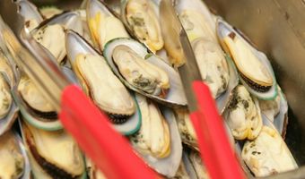 Voorzorgsmaatregelen mosselen en oesters Oosterschelde