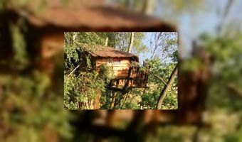 Slapen in een Duits bomenhotel