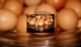 Minder toeristen tijdens paasdagen