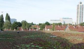 ‘Verborgen' en groen jaren 70 hotel opent in Amsterdam