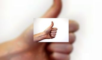 Groningse terrassen krijgen tropenrooster