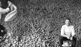 Friethoes opent ambachtelijke FrietFabriek voor horeca