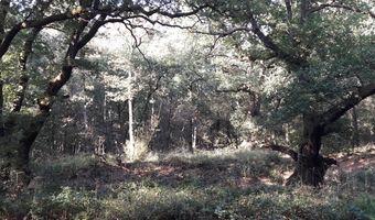 Bijna 1,5 miljoen Nederlanders op herfstvakantie