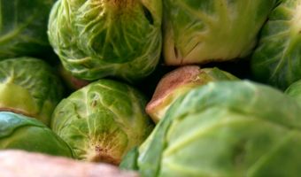 Weetje: spruitjes zijn vitaminenbommen!