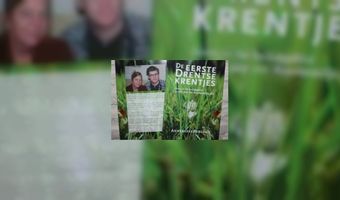 Gebundelde columns over B&B