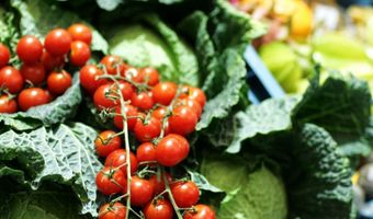 Trends gespot: Gezondheidswetenschap op het menu