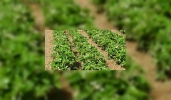 Shalom Bed and Breakfast opent deuren 