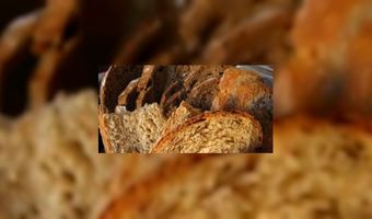 Volkorenbrood valt goed in de smaak