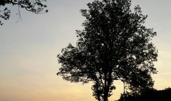 Zakelijke gasten bij hotel Element kunnen kerstboompje lenen