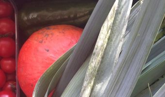 Oude postkantoor tijdelijk restaurant, café en winkel