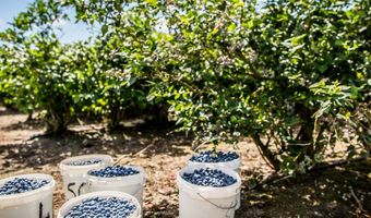 Event: Horeca & Food Inspiratie Venray komt met vernieuwd concept