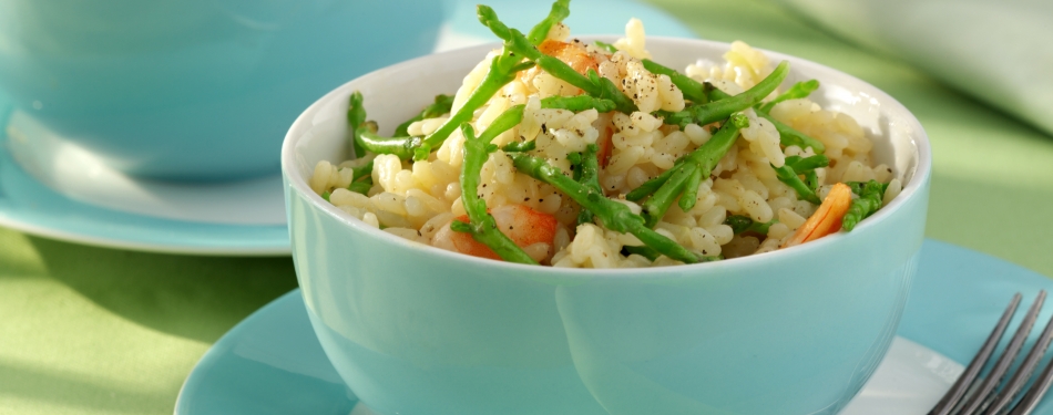 Risotto met garnalen en zeekraal