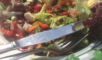 Oproer meest vegan friendly restaurant van Nederland