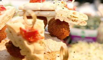 Nederlandse prikkers