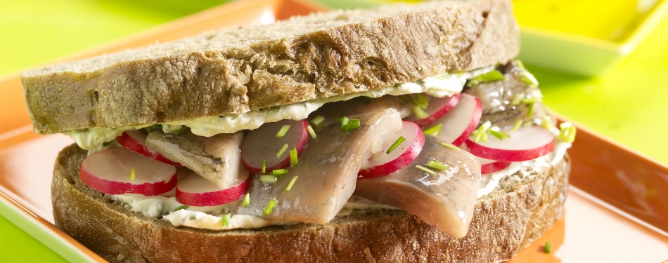 Boerensandwich haring