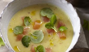 Superieur Franse Mosterdsoep