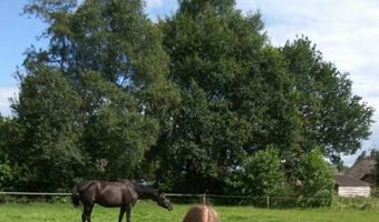 Bouw ontbijthotel Veluwse Bron mag starten