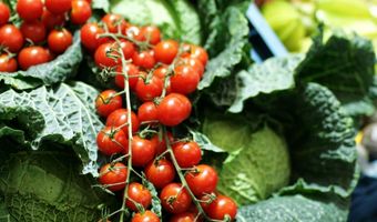 Voedseltop: Nederland koploper gezonde en duurzame voeding