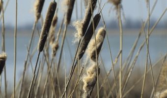 Almeerse seintoren wordt bed and breakfast