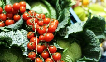 Albert Heijn start met horeca in winkels