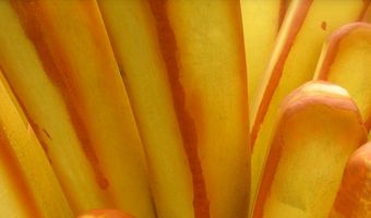 'Omzet cafetaria's te laag getaxeerd'