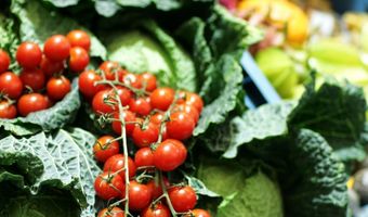 Pilotproject tegen voedselverspilling hotelsector 