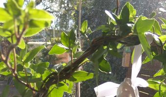 De populairste duurzame reistrends volgens Booking.com