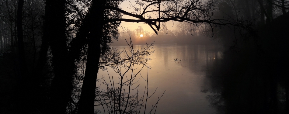 Toename aantal B&B's in Biesbosch