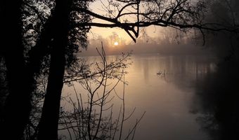 Toename aantal B&B's in Biesbosch