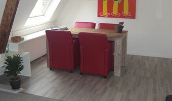 Drie tulpen voor Nijmeegse bed & breakfast