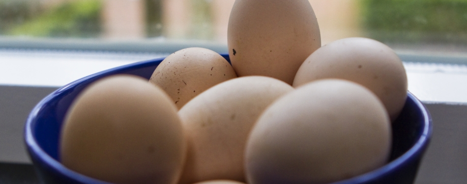 Cloud Eggs, dé eiertrend van 2017?