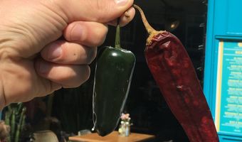 Mexicaans restaurant organiseert chili pepper contest