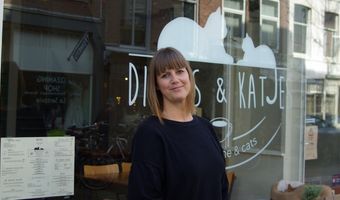 Hoe onderneem je in een kattencafé?