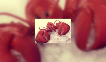 F&B: As long as it's legal