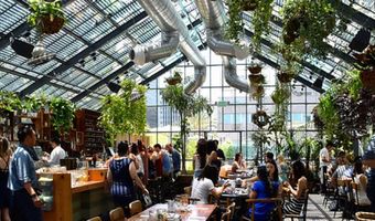 DeDAKKAS: start crowdfunding groen horecapaviljoen