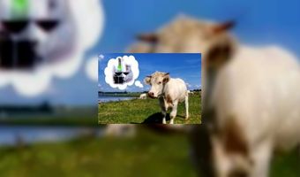 Vlees marineren terwijl het nog leeft